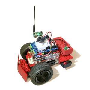 Buggy with 315MHz receiver